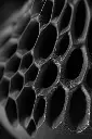 DSC00862-1.webp