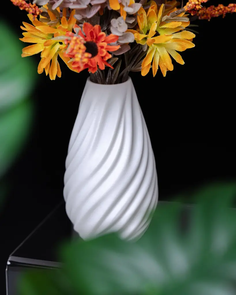 DSC09010.webp