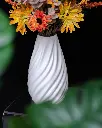 DSC09010.webp