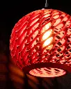 DSC01140-1.webp