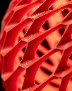 DSC01141-1.webp