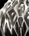 DSC02391-1.webp