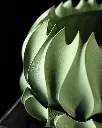 DSC01410-1.webp