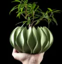 Abyssal Planter Pot