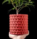Rugged Planter Pot