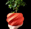 Shell Planter Pot