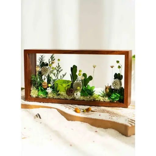 Dried Botanical Display Box